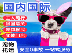 白云机场托运国际宠物托运 【国